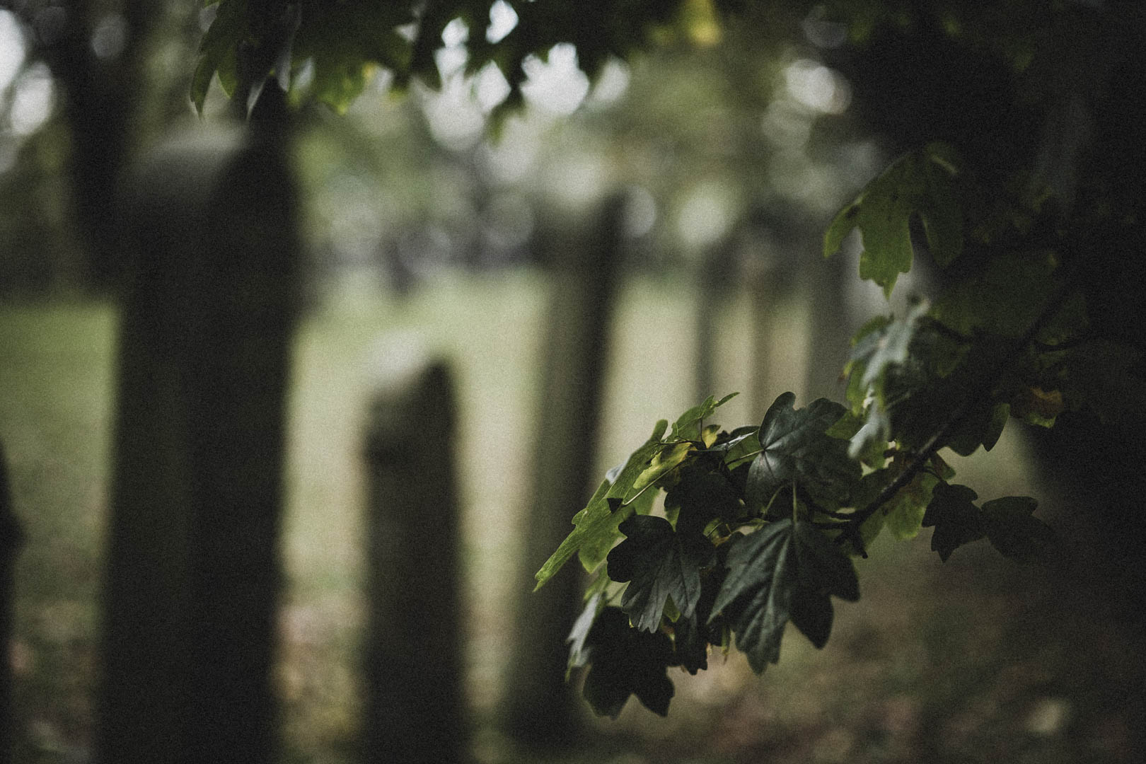 Aurich, jüdischer Friedhof